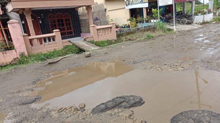 Ruas jalan rusak di Panei Tonga