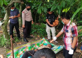 Suratman (56), tewas setelah terjatuh dari pohon petai setinggi tujuh meter