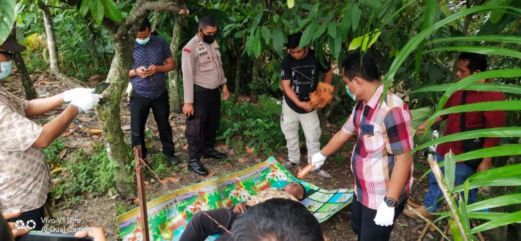 Suratman (56), tewas setelah terjatuh dari pohon petai setinggi tujuh meter