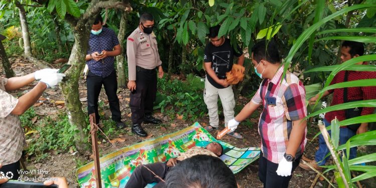 Suratman (56), tewas setelah terjatuh dari pohon petai setinggi tujuh meter