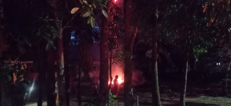 Pohon terbakar di SMPN 3 Siantar