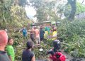 Pohon besar tumbang menimpa kendaraan bermotor di depan Kantor Siantar Hotel Kota Pematangsiantar (f:ist/konstruktif)