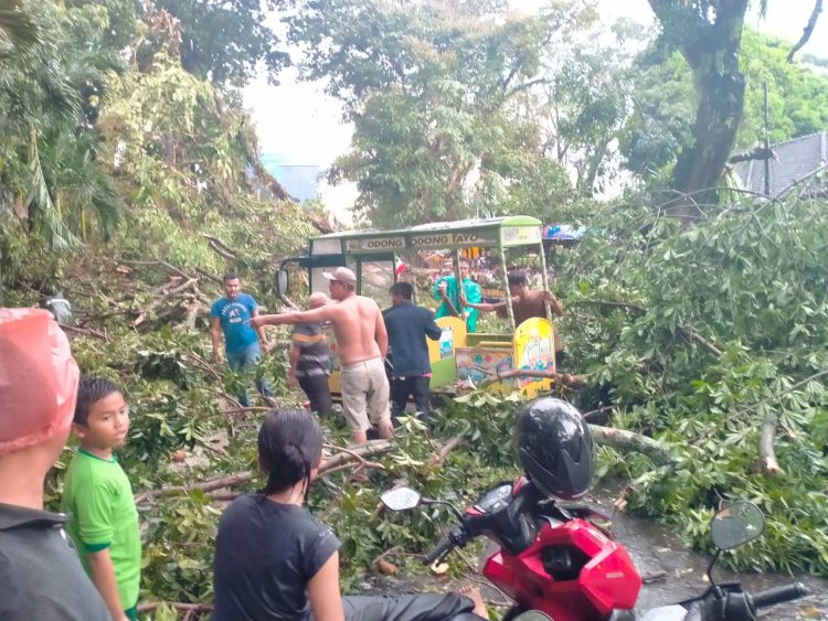 Pohon besar tumbang menimpa kendaraan bermotor di depan Kantor Siantar Hotel Kota Pematangsiantar (f:ist/konstruktif)