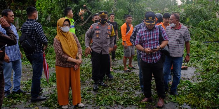 Plt Walikota Pematangsiantar dr. Susanti sesaat hujan reda, meninjau langsung lokasi pohon tumbang (f:ist/konstruktif)