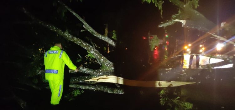 Personil Satlantas Polres Simalungun saat mengevakuasi pohon tumbang di Tiga Dolok.(f:ist/konstruktif)