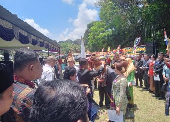 Lapangan Rintis Vll Balimbingan Kecamatan Tanah Jawa  (f:ist/konstruktif)